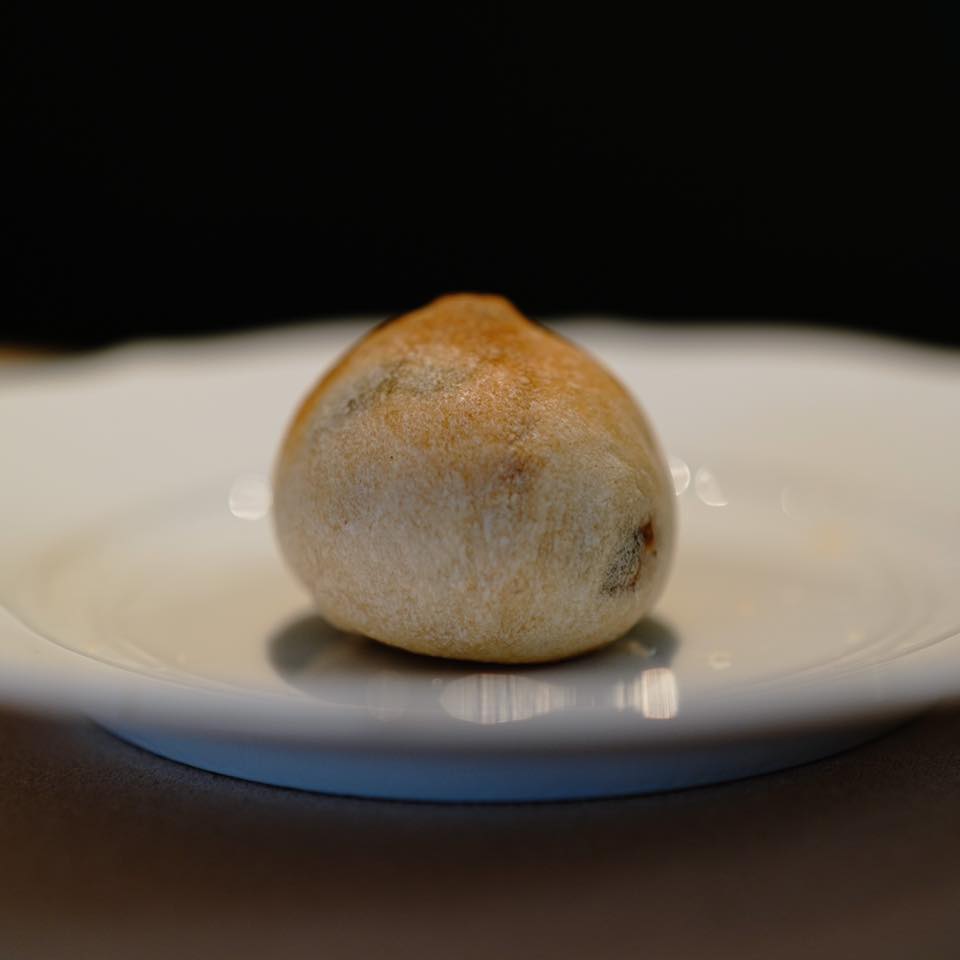 フォリオリーナ・デッラ・ポルタ・フォルトゥーナ