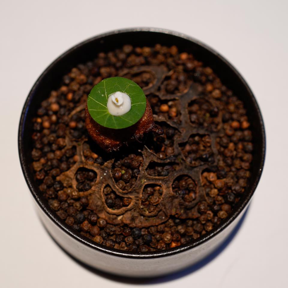 レスピラシオン【前半】