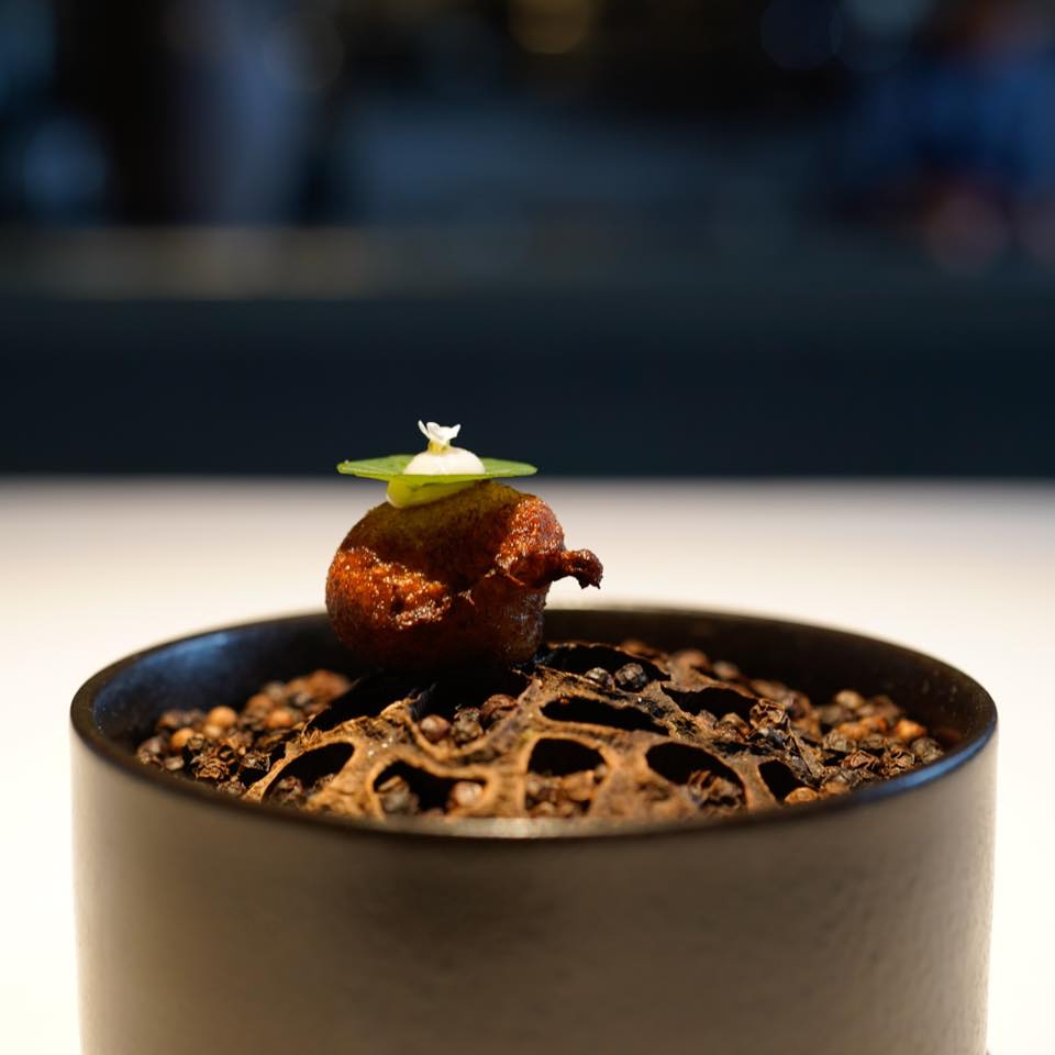 レスピラシオン【前半】