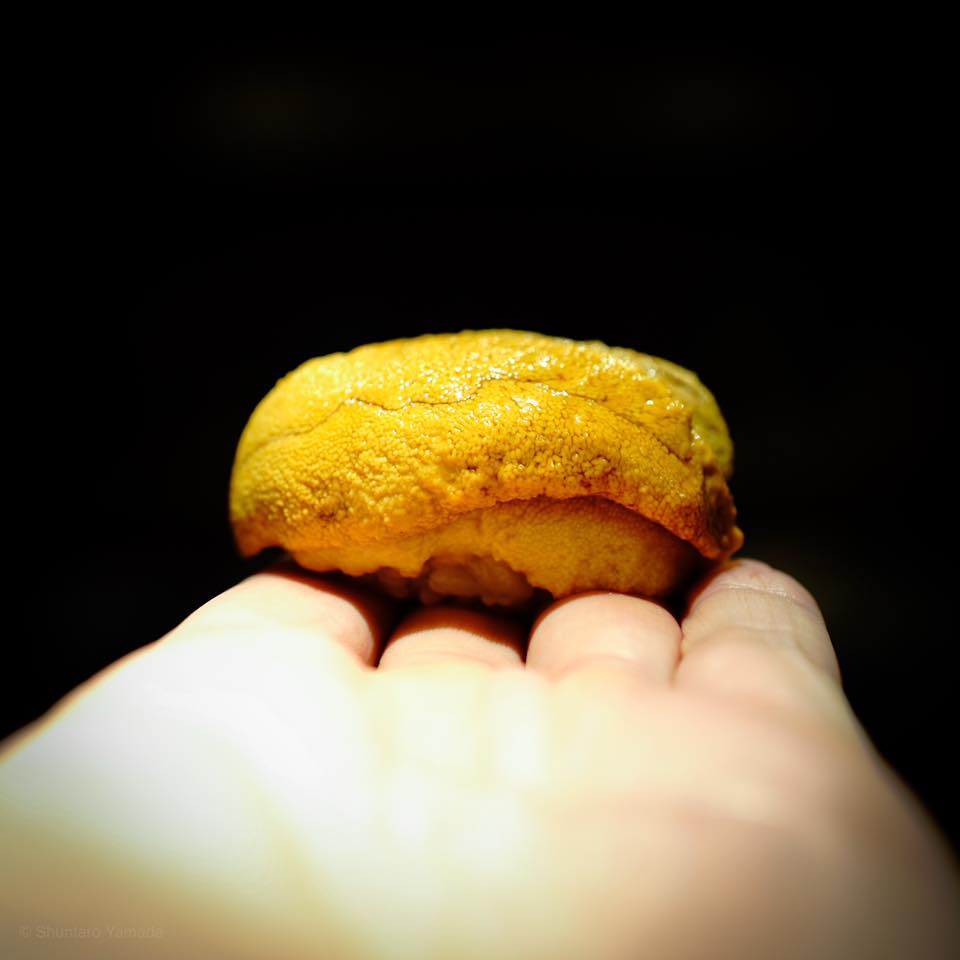 東麻布 天本【握り編】