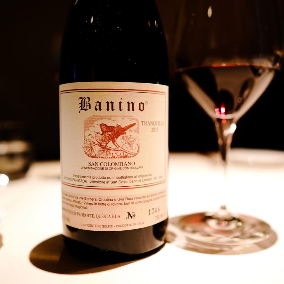 フォリオリーナ・デッラ・ポルタ・フォルトゥーナ