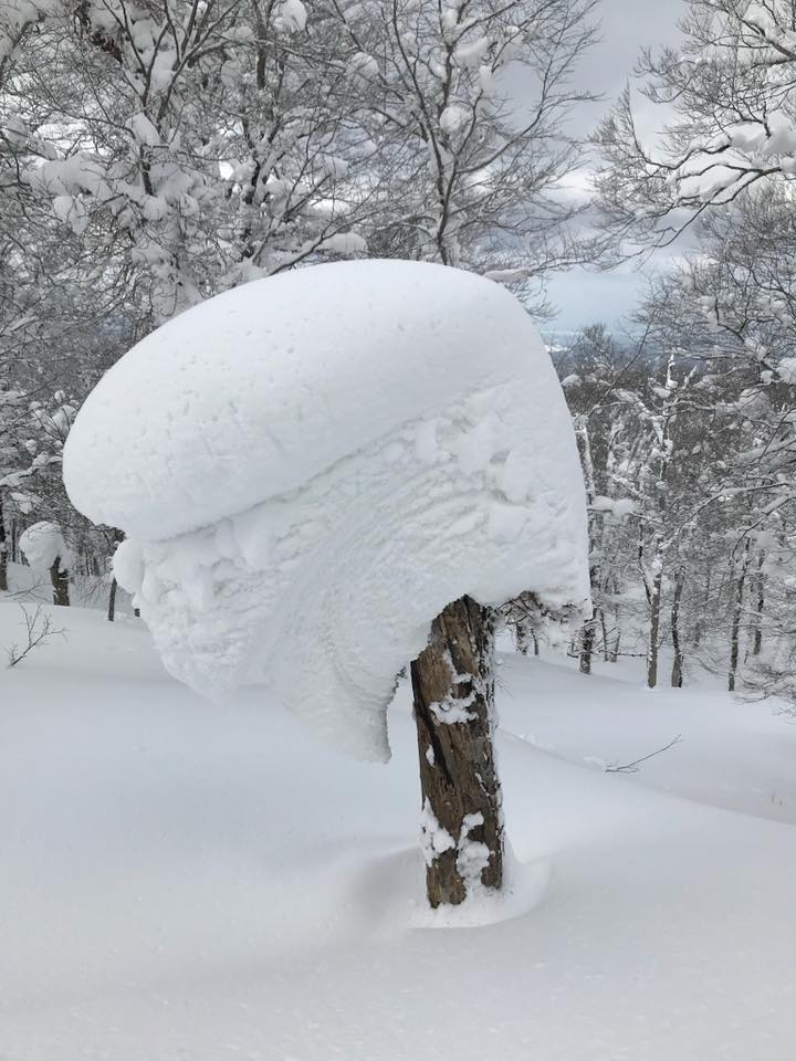 森吉山阿仁スキー場