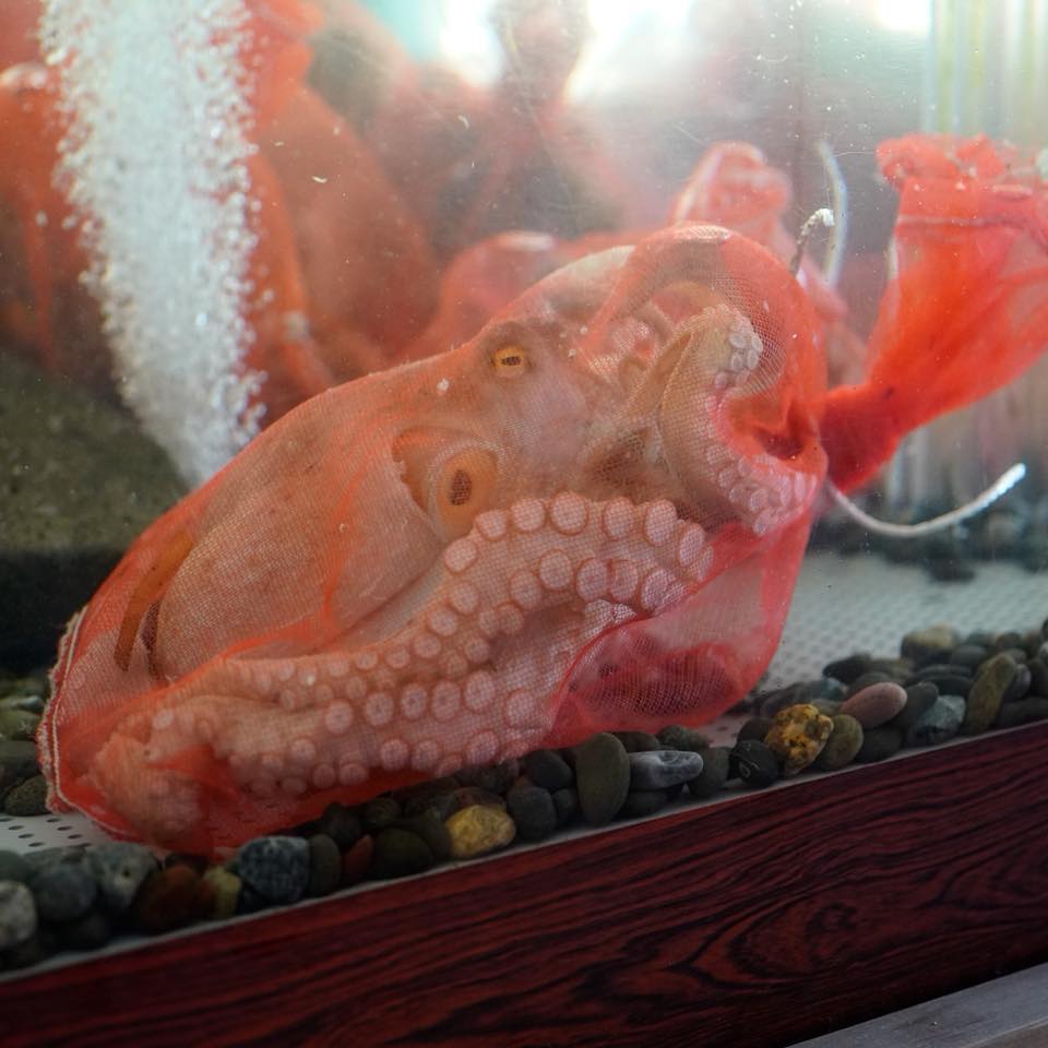 元祖たこ料理 保乃家