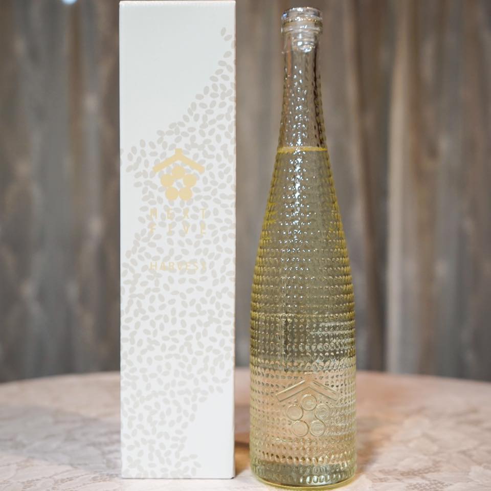 田根剛｜未来の記憶　Archaeology of the Future ― Digging & Building