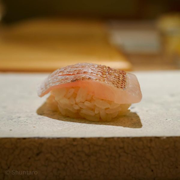 鮨 なんば 日比谷【握り編】