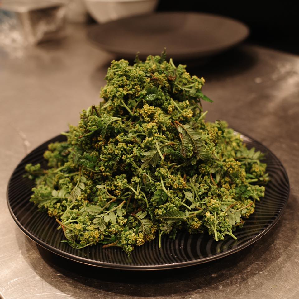 東京食肉市場直送 肉焼屋 D-29