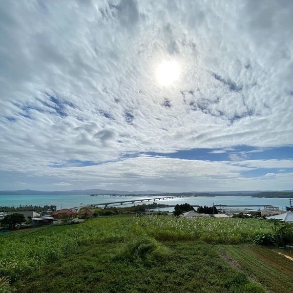 One Suite Restaurant L LOTA