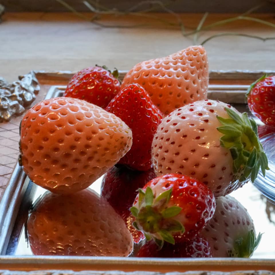 ラトリエ ア マ ファソン