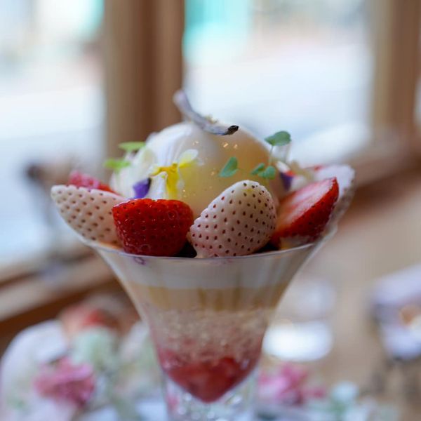 ラトリエ ア マ ファソン