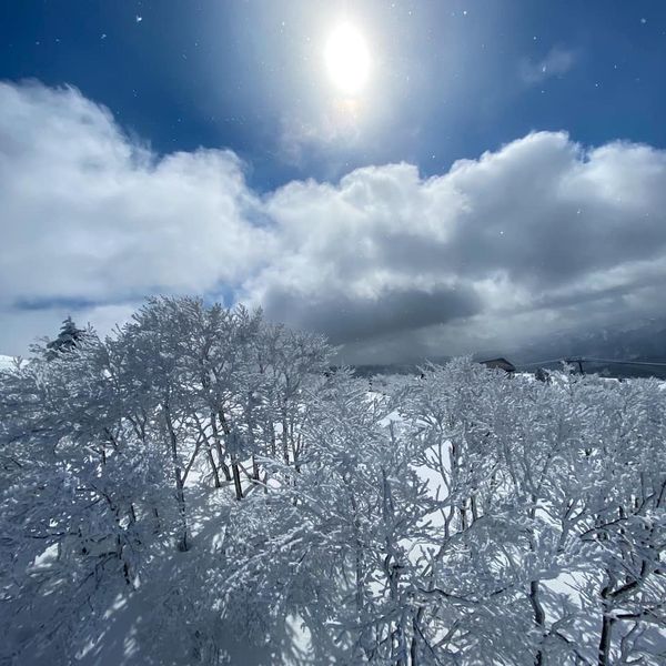 田沢湖スキー場