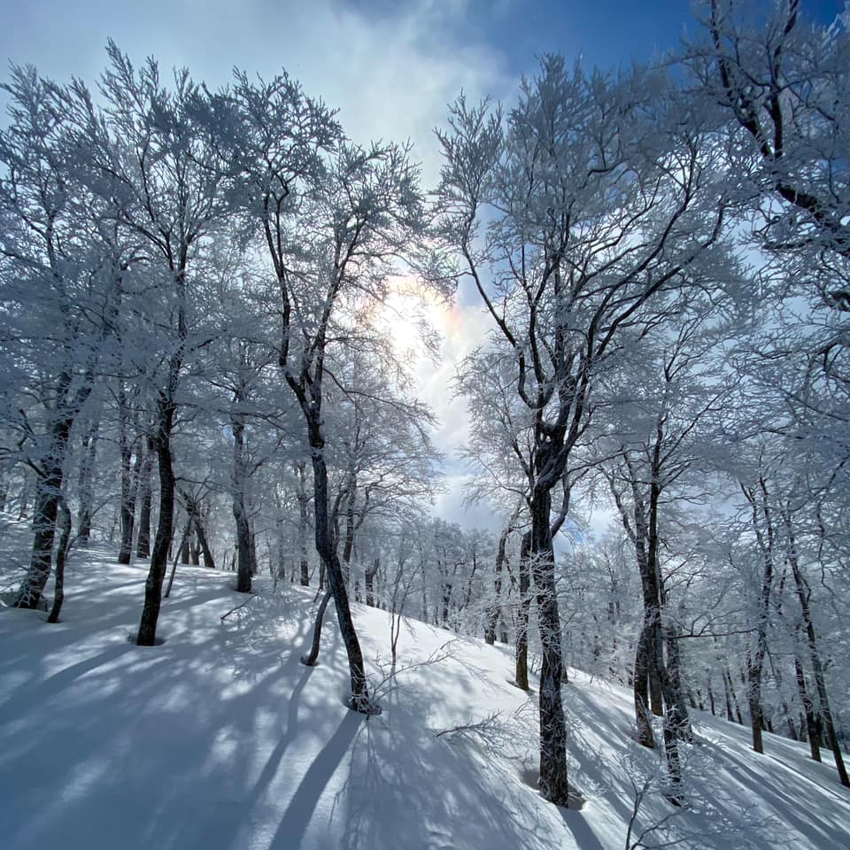 田沢湖スキー場
