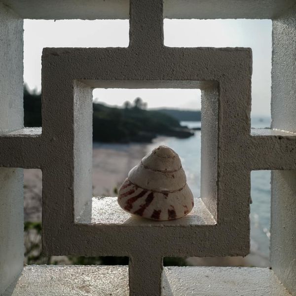 やんばる紅茶ティールーム