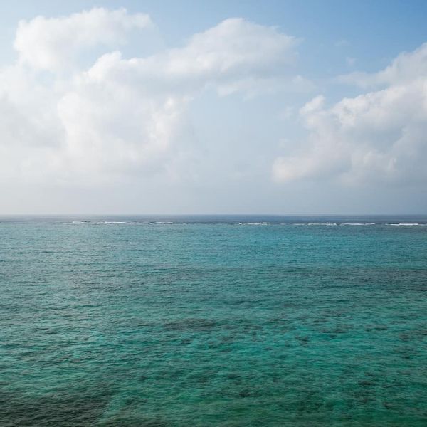 やんばる紅茶ティールーム