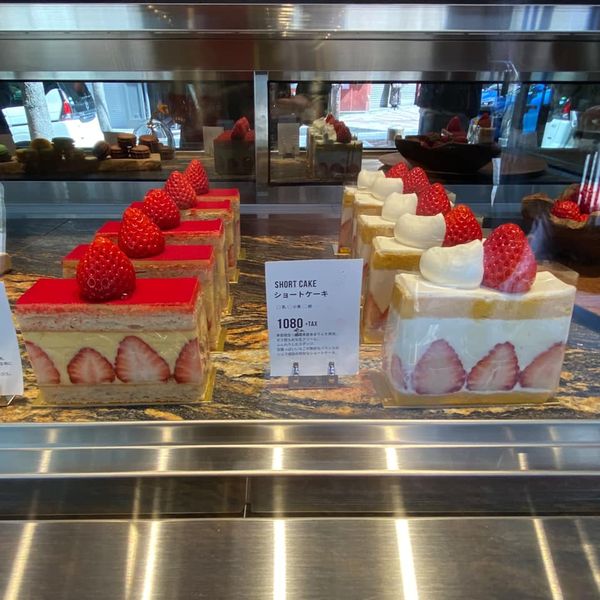 シーン カズトシ ナリタ