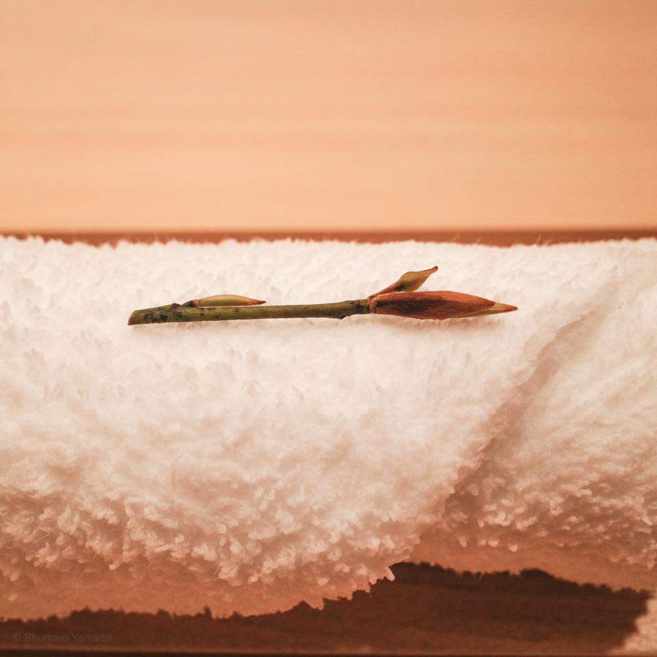 すし処 めくみ【つまみ編】