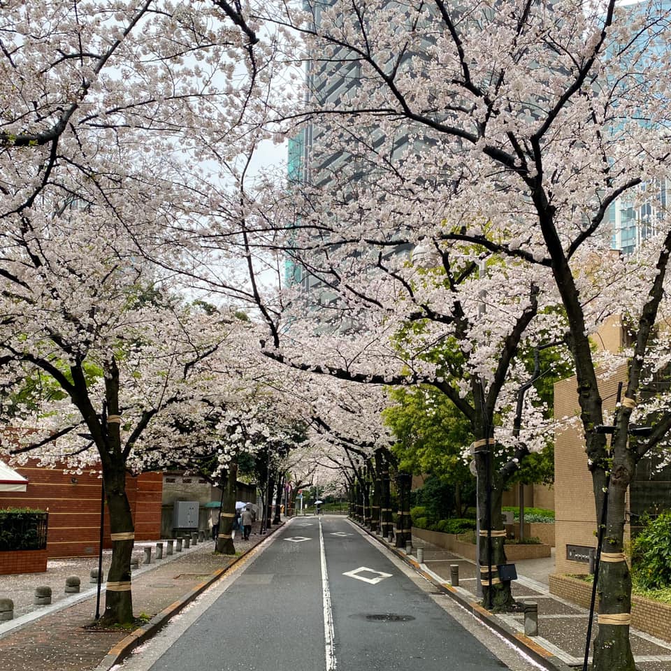 スプラウトカフェ さくら坂