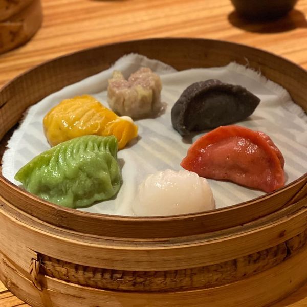 パラダイス ダイナシティ