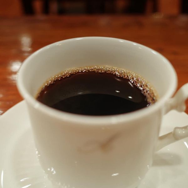 コヒア アラビカ