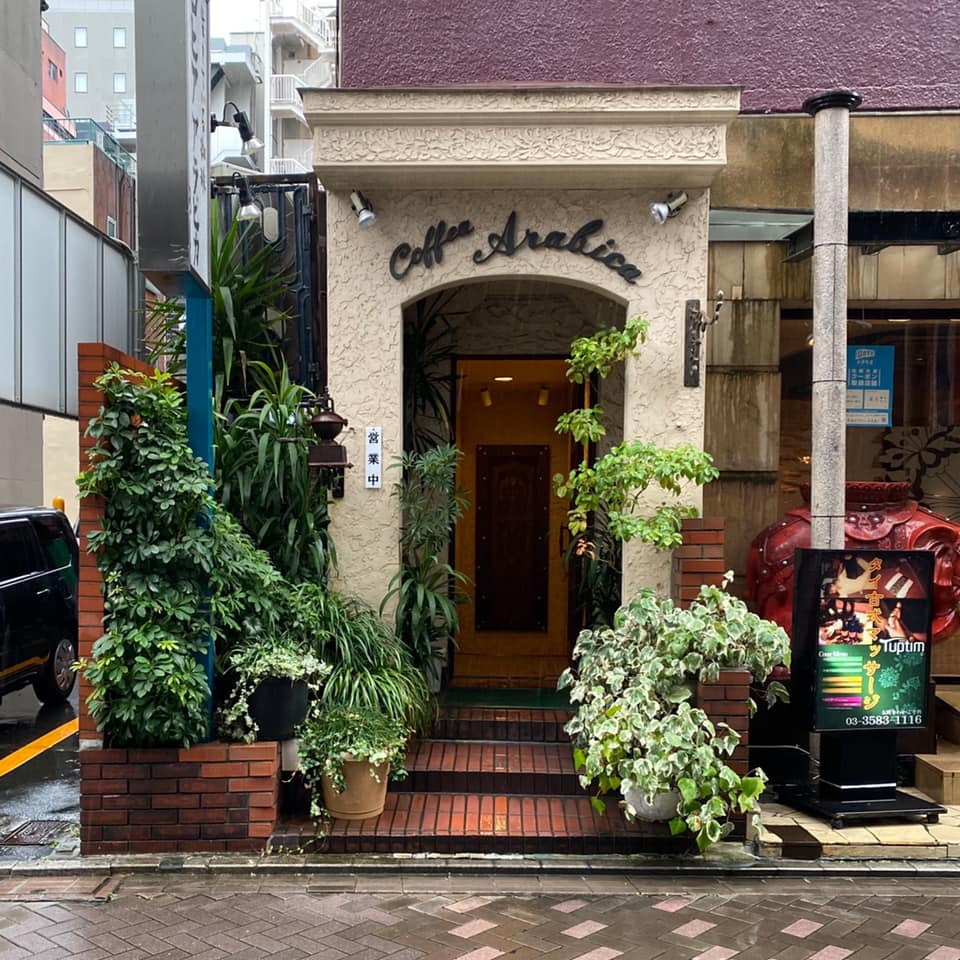 コヒア アラビカ