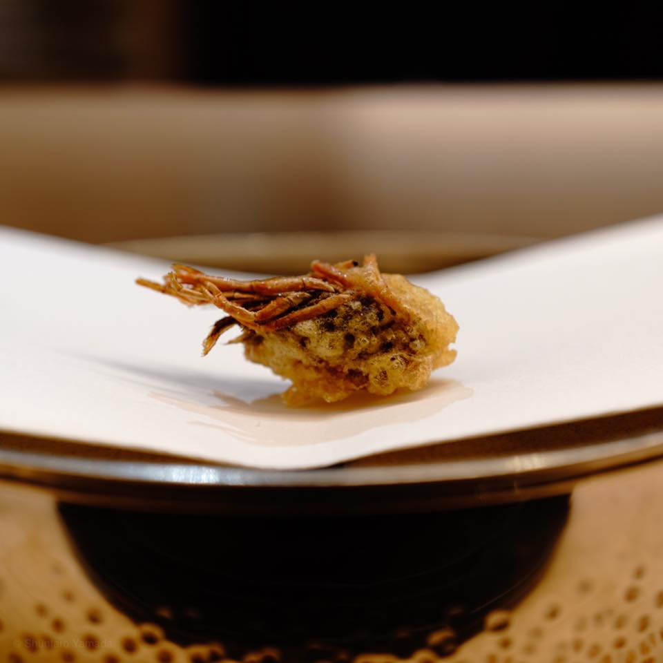 くすのき【前半】