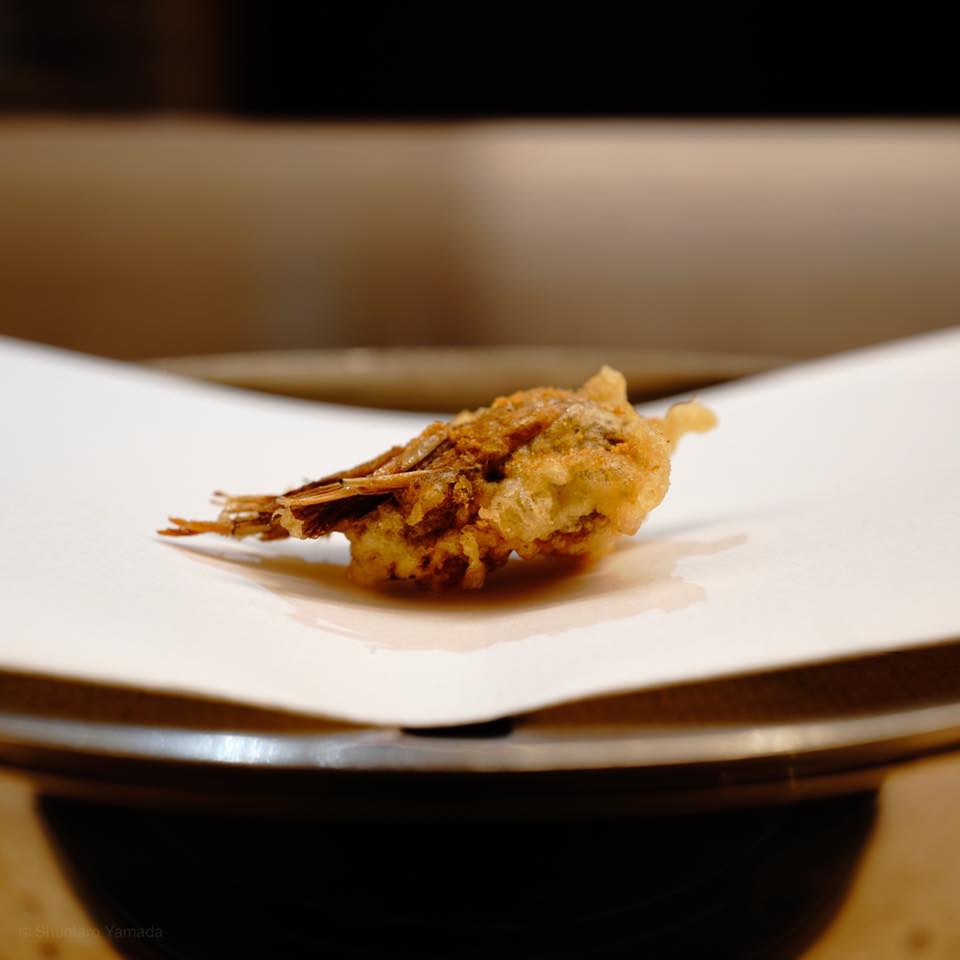 くすのき【前半】