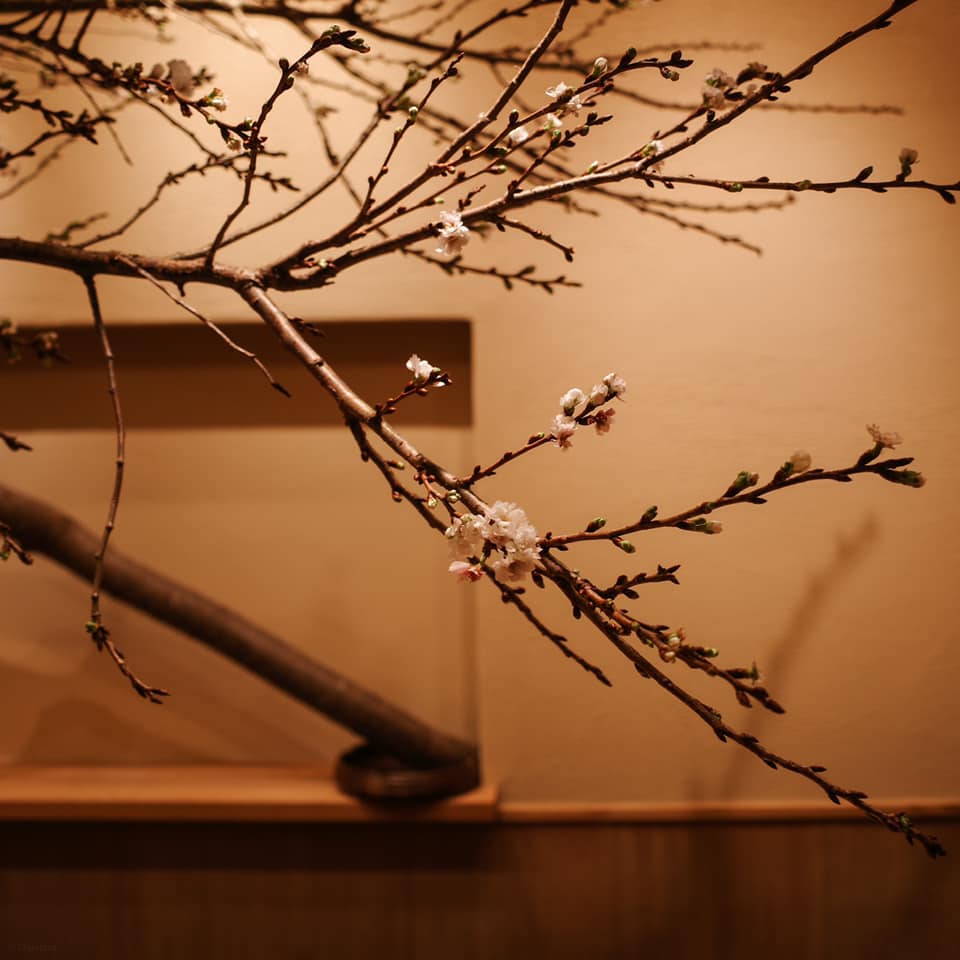 すし処 めくみ【つまみ編】